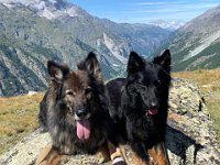 Shani und Gitan
